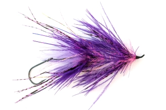 Purple Intruder Purple Intruder