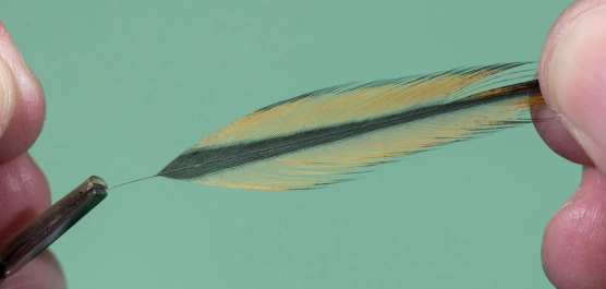 Grab the feather Grab the feather